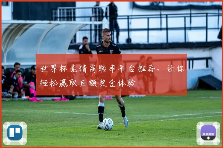 世界杯竞猜高赔率平台推荐，让你轻松赢取巨额奖金体验
