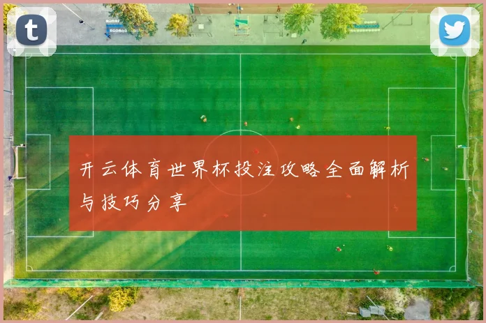 开云体育世界杯投注攻略全面解析与技巧分享