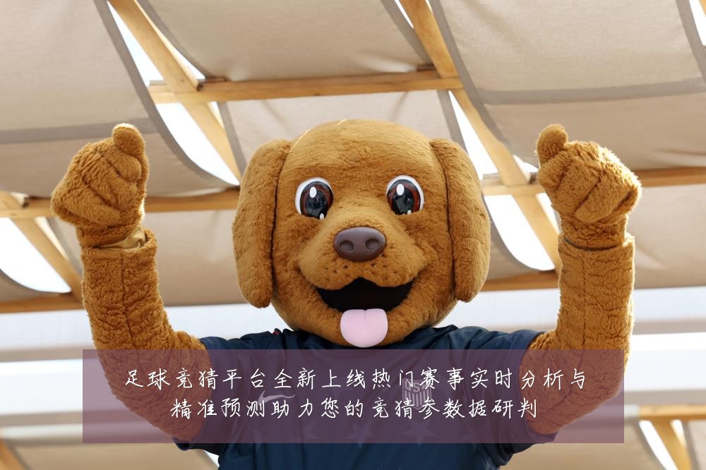 足球竞猜平台全新上线热门赛事实时分析与精准预测助力您的竞猜参数据研判